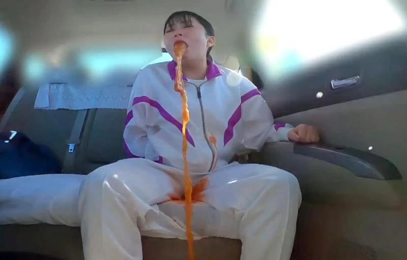 BFJV-179 - 盗撮、日本のトイレの嘔吐物 Voyeur, Japanese Toilet Vomit FullHD (2025)