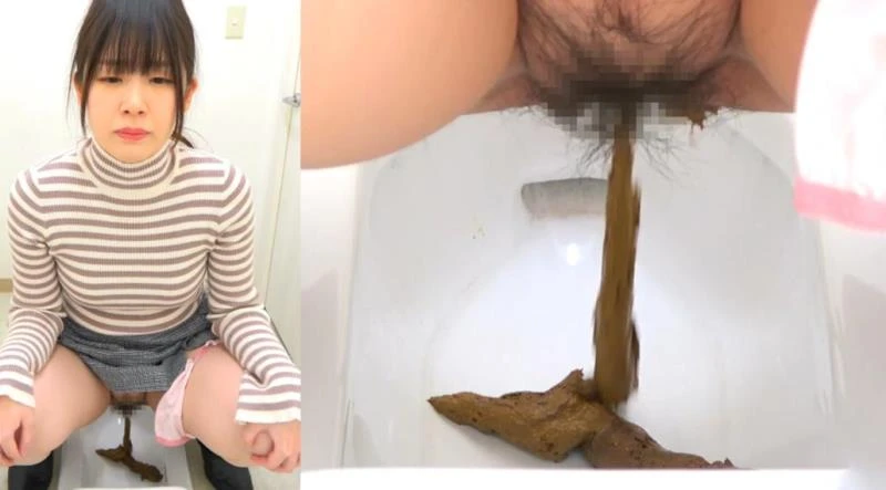 BFSR-704 - 洋式トイレと和式トイレにウンコをする Farting and Shitting in the Toilet FullHD (2025)