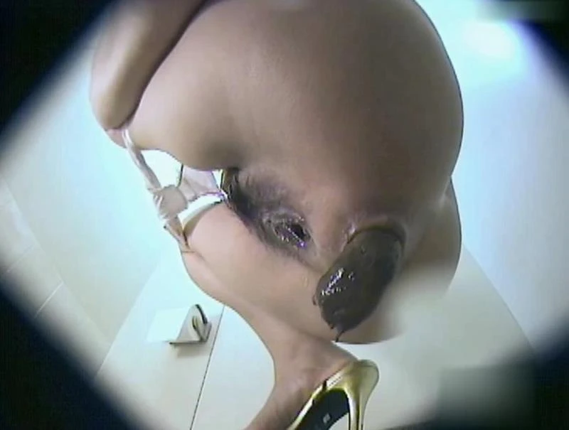 BFJP-194 - Peeing and Shitting in Toilet トイレでおしっことうんちをする SD (2025)