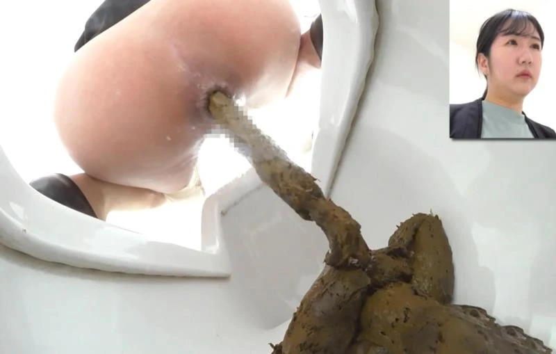 BFEE-312 - Shit on Western and Japanese Style Toilets FullHD (2026)
