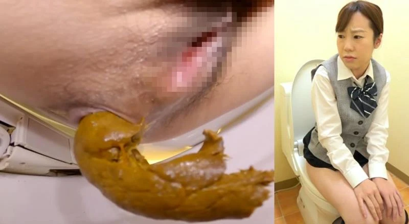 BFSL-317 - Defecating in the Toilet トイレで排便する FullHD (2026)